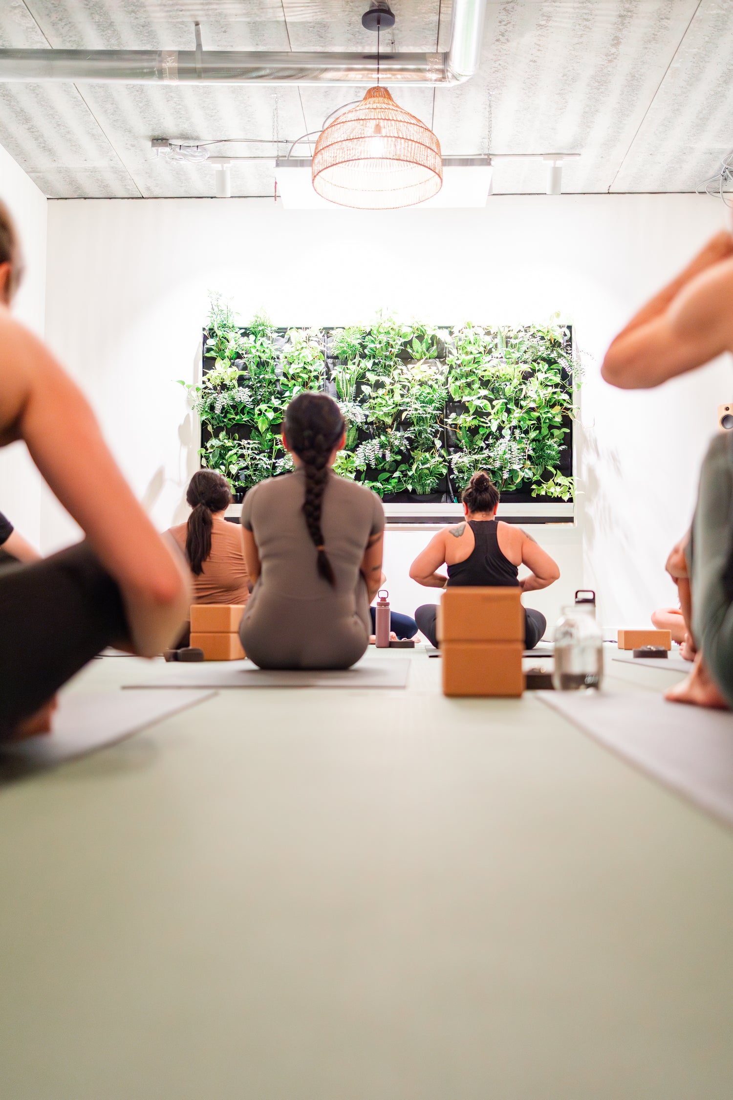 Students seated on mats with blocks and water bottles before class at Prana Fredericton, facing a living plant wall