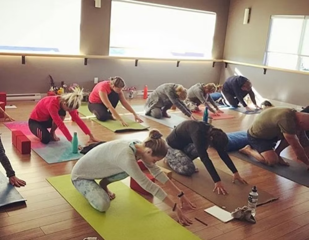 Pura Vida Yoga 200-hour Vinyasa teacher training certification program offered at Prana Hot Yoga studio in Fredericton